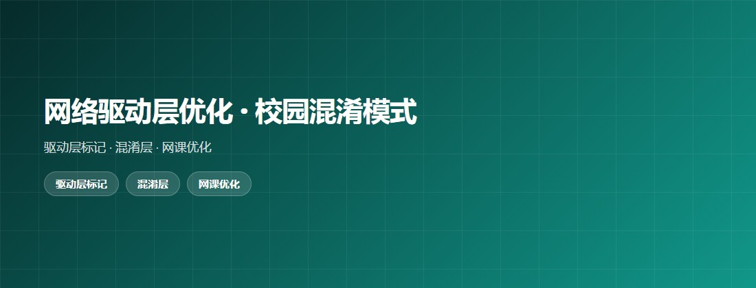 快连网络驱动层优化与校园混淆模式专题图